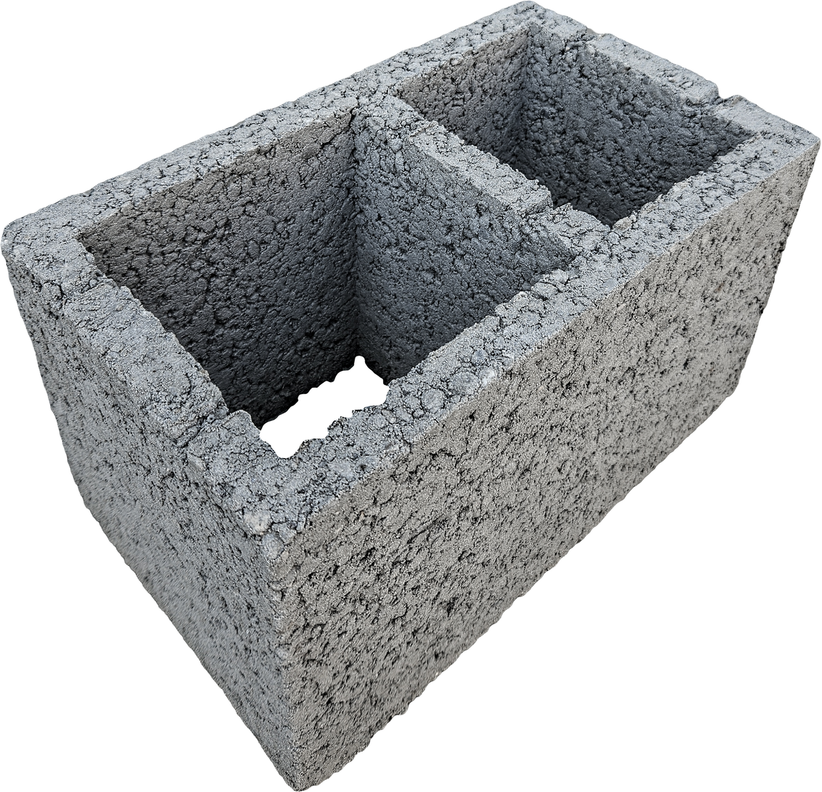 D2
